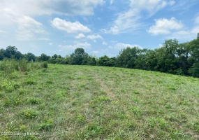 Tr4 Hwy 555, Willisburg, Kentucky 40078, ,Land,For Sale,Hwy 555,1646555