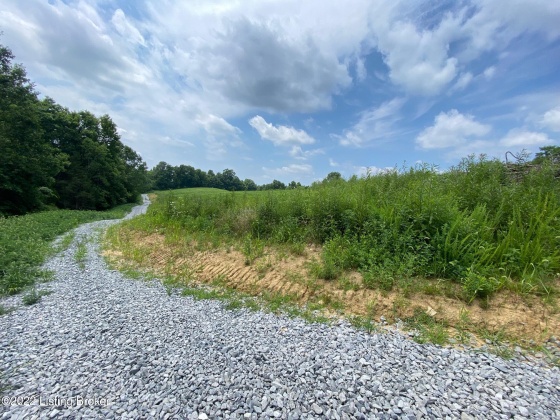 Tr4 Hwy 555, Willisburg, Kentucky 40078, ,Land,For Sale,Hwy 555,1646555