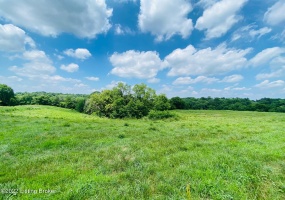 #9 Hwy 555, Willisburg, Kentucky 40078, ,Land,For Sale,Hwy 555,1646567