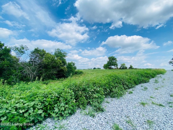 #9 Hwy 555, Willisburg, Kentucky 40078, ,Land,For Sale,Hwy 555,1646567