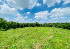 #9 Hwy 555, Willisburg, Kentucky 40078, ,Land,For Sale,Hwy 555,1646567