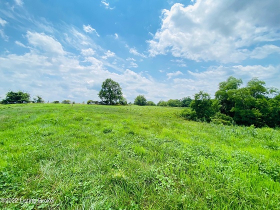 #9 Hwy 555, Willisburg, Kentucky 40078, ,Land,For Sale,Hwy 555,1646567