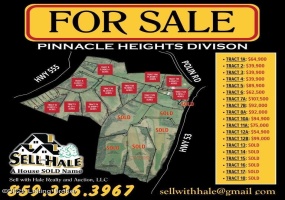 #9 Hwy 555, Willisburg, Kentucky 40078, ,Land,For Sale,Hwy 555,1646567