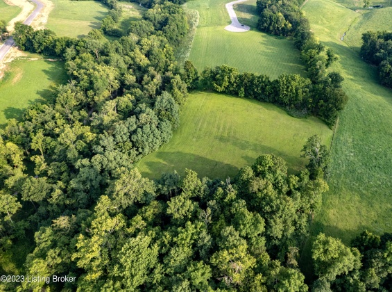 Tract 15 Stallard Springs, Shelbyville, Kentucky 40065, ,Land,For Sale,Stallard Springs,1642014