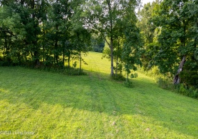 Tract 15 Stallard Springs, Shelbyville, Kentucky 40065, ,Land,For Sale,Stallard Springs,1642014