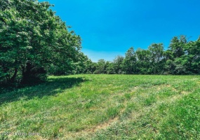 8212 B Camp Ernst Rd, Burlington, Kentucky 41005, ,Land,For Sale,Camp Ernst,1646826