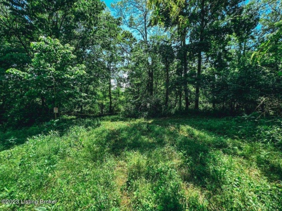 8212 B Camp Ernst Rd, Burlington, Kentucky 41005, ,Land,For Sale,Camp Ernst,1646826