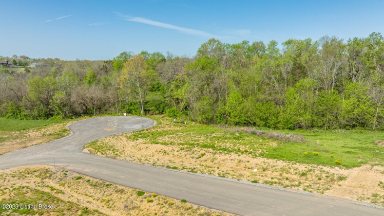 Lot 134 Crafton Dr, Taylorsville, Kentucky 40071, ,Land,For Sale,Crafton,1646861