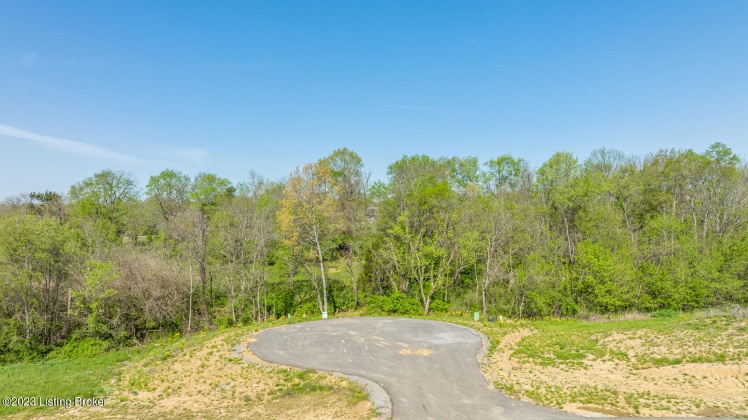 Lot 134 Crafton Dr, Taylorsville, Kentucky 40071, ,Land,For Sale,Crafton,1646861