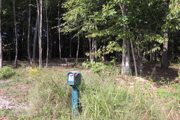 78 Mill Creek Spur Rd, Tompkinsville, Kentucky 42167, ,Land,For Sale,Mill Creek Spur,1647181