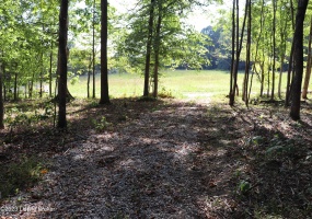 78 Mill Creek Spur Rd, Tompkinsville, Kentucky 42167, ,Land,For Sale,Mill Creek Spur,1647181