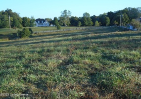 2163 Bardstown Trail, Waddy, Kentucky 40076, ,Land,For Sale,Bardstown,1647370