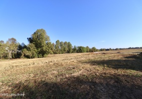 357 Hilltop Rd, Shepherdsville, Kentucky 40165, ,Land,For Sale,Hilltop,1647697