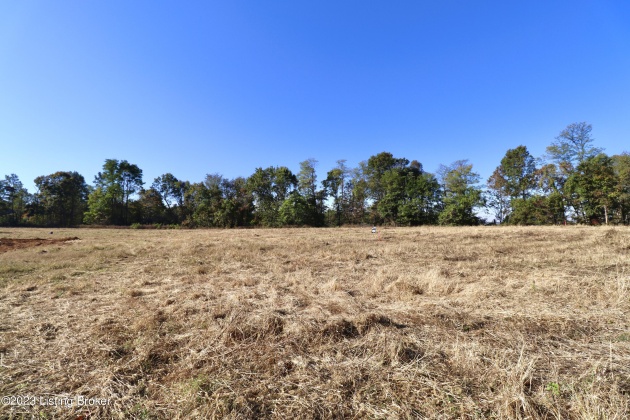 357 Hilltop Rd, Shepherdsville, Kentucky 40165, ,Land,For Sale,Hilltop,1647723