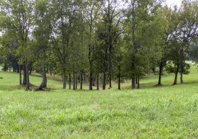 36B Plum Creek Ct, Finchville, Kentucky 40022, ,Land,For Sale,Plum Creek,1638390