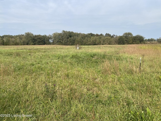 0 Private Horde Dr, Hardinsburg, Kentucky 40143, ,Land,For Sale,Private Horde,1648159