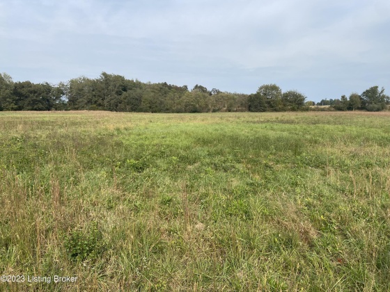 0 Private Horde Dr, Hardinsburg, Kentucky 40143, ,Land,For Sale,Private Horde,1648159