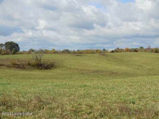 239 Sewell Rd, Bethlehem, Kentucky 40007, ,Land,For Sale,Sewell,1648201