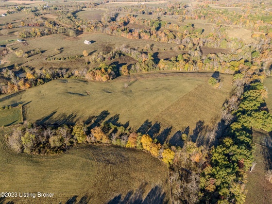 239 Sewell Rd, Bethlehem, Kentucky 40007, ,Land,For Sale,Sewell,1648201