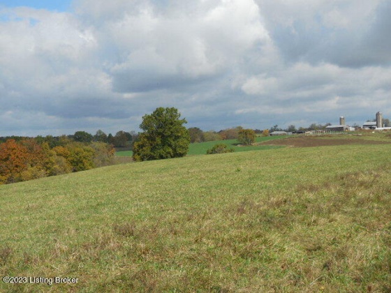 239 Sewell Rd, Bethlehem, Kentucky 40007, ,Land,For Sale,Sewell,1648201