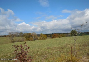 239 Sewell Rd, Bethlehem, Kentucky 40007, ,Land,For Sale,Sewell,1648201