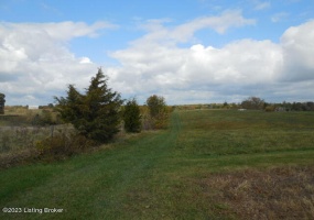 239 Sewell Rd, Bethlehem, Kentucky 40007, ,Land,For Sale,Sewell,1648201