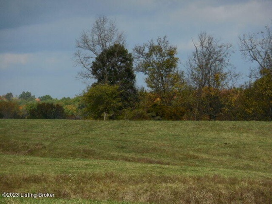 239 Sewell Rd, Bethlehem, Kentucky 40007, ,Land,For Sale,Sewell,1648201