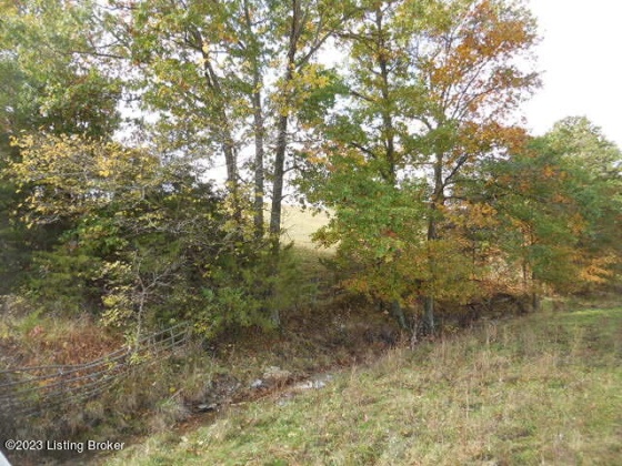 239 Sewell Rd, Bethlehem, Kentucky 40007, ,Land,For Sale,Sewell,1648201