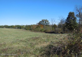 239 Sewell Rd, Bethlehem, Kentucky 40007, ,Land,For Sale,Sewell,1648201