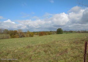 239 Sewell Rd, Bethlehem, Kentucky 40007, ,Land,For Sale,Sewell,1648201