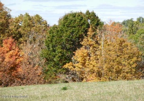 239 Sewell Rd, Bethlehem, Kentucky 40007, ,Land,For Sale,Sewell,1648201