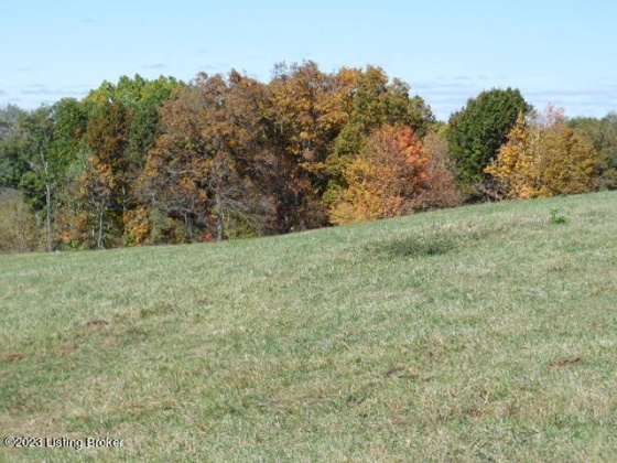 239 Sewell Rd, Bethlehem, Kentucky 40007, ,Land,For Sale,Sewell,1648201