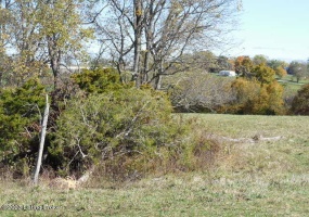 239 Sewell Rd, Bethlehem, Kentucky 40007, ,Land,For Sale,Sewell,1648201