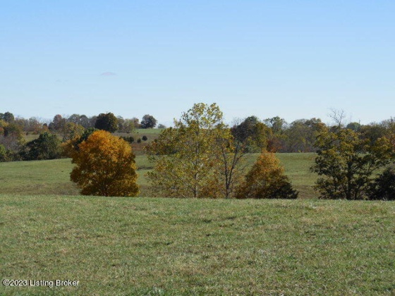 239 Sewell Rd, Bethlehem, Kentucky 40007, ,Land,For Sale,Sewell,1648201