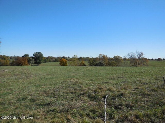 239 Sewell Rd, Bethlehem, Kentucky 40007, ,Land,For Sale,Sewell,1648201