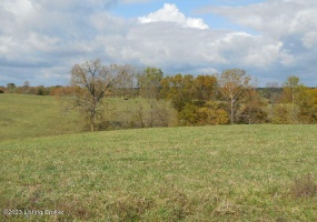 239 Sewell Rd, Bethlehem, Kentucky 40007, ,Land,For Sale,Sewell,1648201