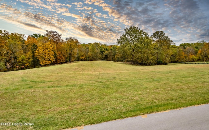 Tract 28 Flint Ridge Rd, Shelbyville, Kentucky 40065, ,Land,For Sale,Flint Ridge,1648230