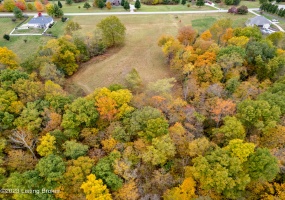 Tract 28 Flint Ridge Rd, Shelbyville, Kentucky 40065, ,Land,For Sale,Flint Ridge,1648230