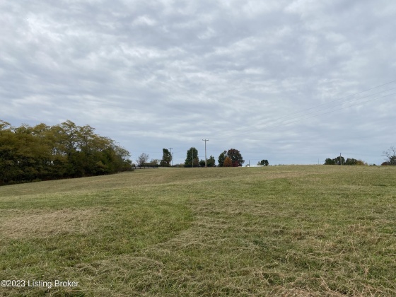 Tract 2B Taylorsville Rd, Finchville, Kentucky 40022, ,Land,For Sale,Taylorsville,1648339