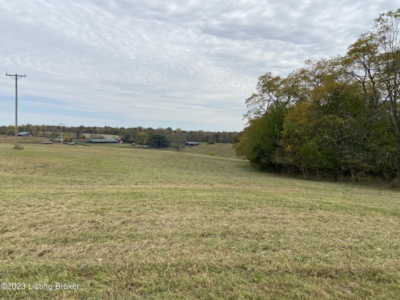 Tract 2B Taylorsville Rd, Finchville, Kentucky 40022, ,Land,For Sale,Taylorsville,1648339