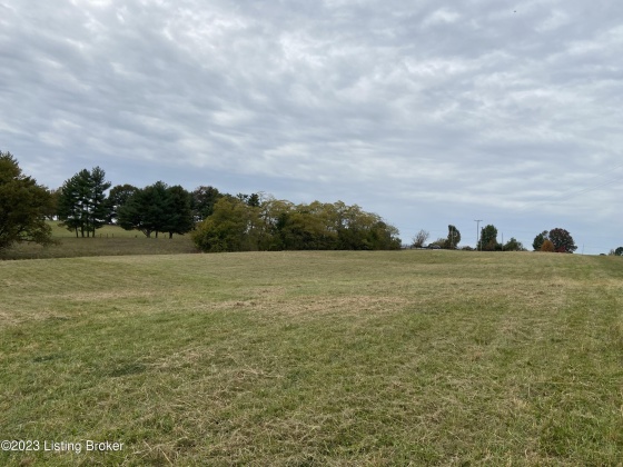 Tract 2B Taylorsville Rd, Finchville, Kentucky 40022, ,Land,For Sale,Taylorsville,1648339