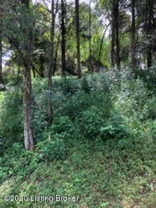 Lot 262A Cedarmore Rd, Bagdad, Kentucky 40003, ,Land,For Sale,Cedarmore,1648322