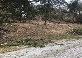 Lot 262A Cedarmore Rd, Bagdad, Kentucky 40003, ,Land,For Sale,Cedarmore,1648322