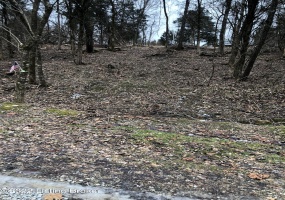 Lot 258A Cedarmore Rd, Bagdad, Kentucky 40003, ,Land,For Sale,Cedarmore,1648320