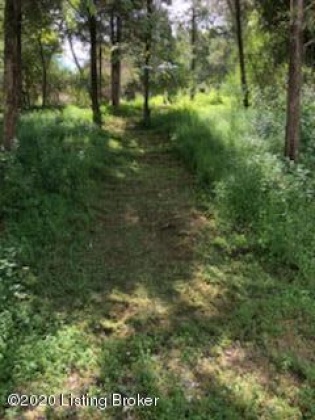 Lot 261A Cedarmore Rd, Bagdad, Kentucky 40003, ,Land,For Sale,Cedarmore,1648321