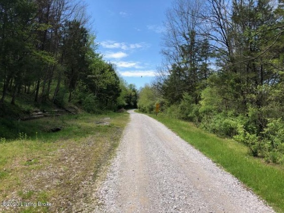 Lot 257A Cedarmore Rd, Bagdad, Kentucky 40003, ,Land,For Sale,Cedarmore,1648329