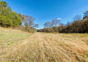 3825 Deep Creek Rd, Harrodsburg, Kentucky 40330, ,Land,For Sale,Deep Creek,1648934