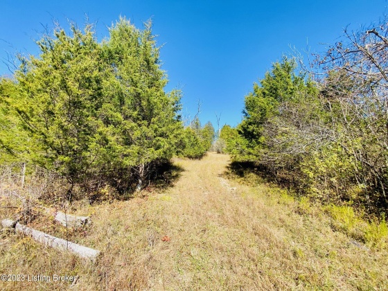 3825 Deep Creek Rd, Harrodsburg, Kentucky 40330, ,Land,For Sale,Deep Creek,1648934