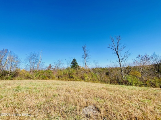 3825 Deep Creek Rd, Harrodsburg, Kentucky 40330, ,Land,For Sale,Deep Creek,1648934