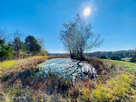 3825 Deep Creek Rd, Harrodsburg, Kentucky 40330, ,Land,For Sale,Deep Creek,1648934